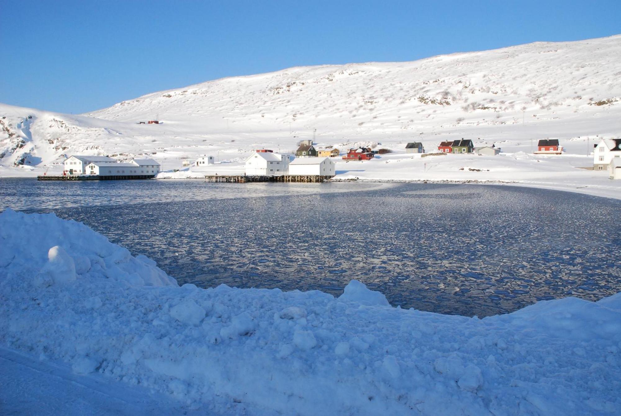 Kongsfjord Holiday Home Eksteriør billede