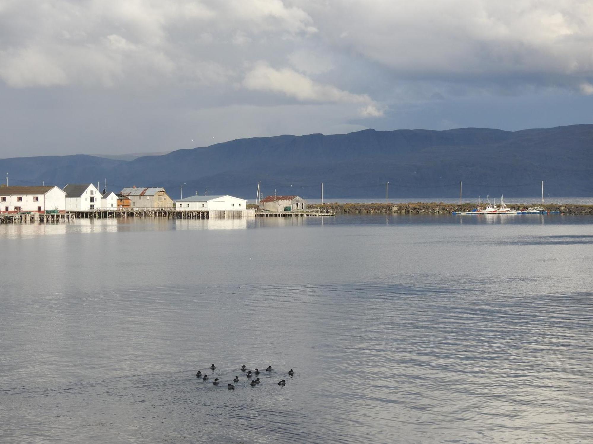 Kongsfjord Holiday Home Eksteriør billede