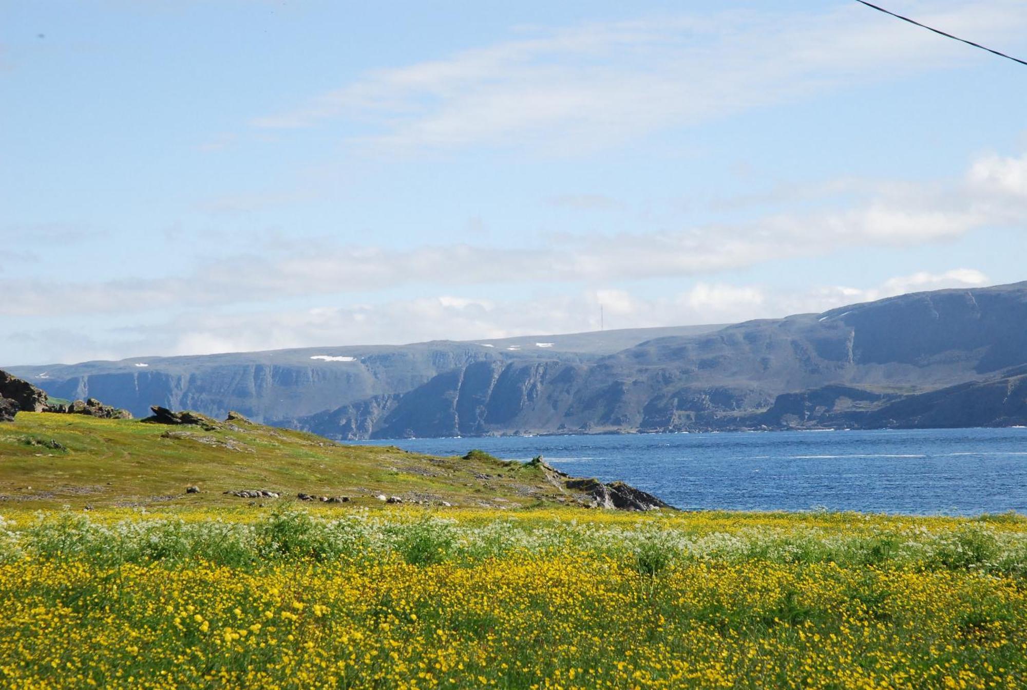 Kongsfjord Holiday Home Eksteriør billede